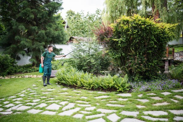 Best Lawn Watering Services  in Middletown, CA